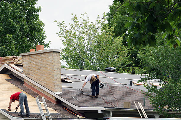 Best Roof Insulation Installation  in Ly Lake, IL